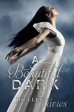 A Beautiful Dark by Jocelyn Davies